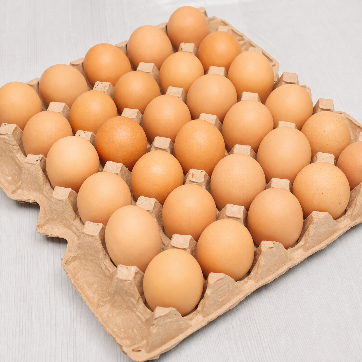 Яйцо кур С1 пф 